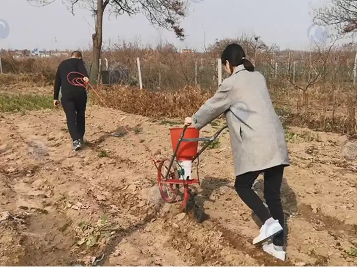 máquina plantadora de milho manual