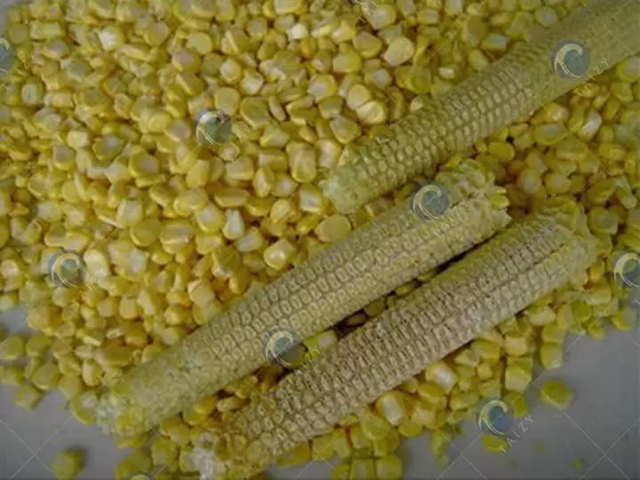 maíz fresco