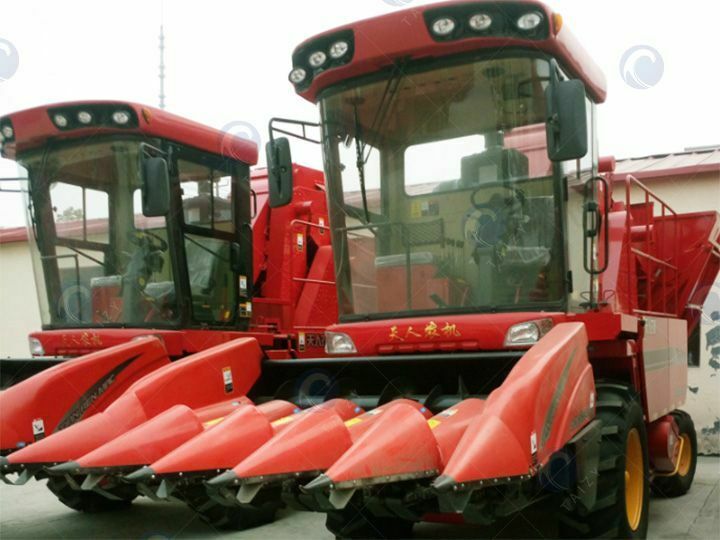 Colhedor de milho Taizy 4 Row para venda na África do Sul