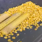 ताजा मकई थ्रेशिंग