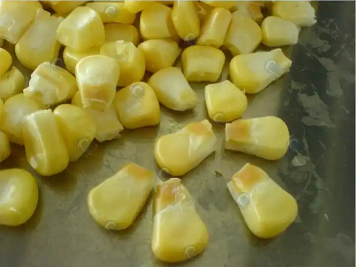 Mesin Pengepres Jagung Manis 14 Bijian Jagung