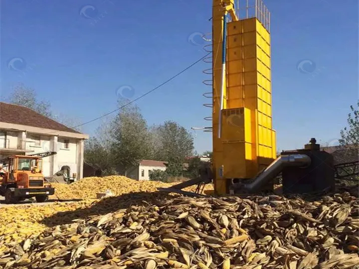 Maize Dryer
