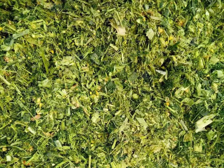 4 Ton/H -20Ton/H Large Corn Stalk Shredder | Efficient Chaff Cutter For Silage Makin 9 Coarser Corn Silage