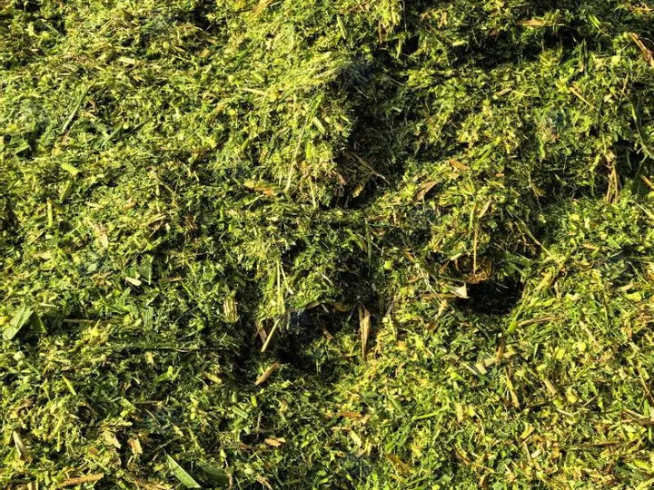 4 Ton/H -20Ton/H Large Corn Stalk Shredder | Efficient Chaff Cutter For Silage Makin 3 Shredded Straw