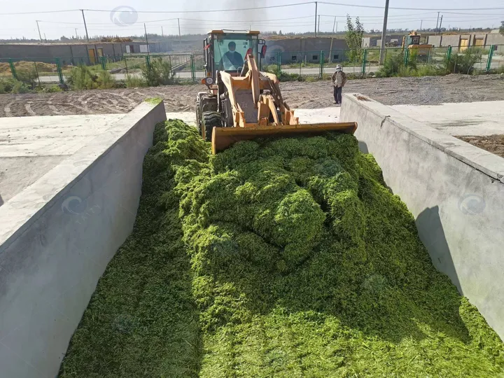 4 Ton/H -20Ton/H Large Corn Stalk Shredder | Efficient Chaff Cutter For Silage Makin 8 Storage Of Shredded Corn Stover