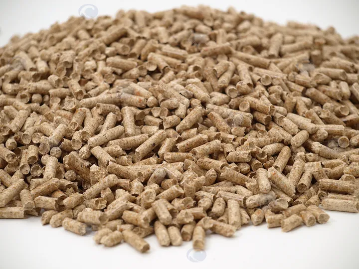 Cattle And Sheep Feed