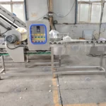 Corn Top And Tail Cutting Machine Price