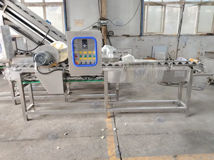 Corn Top And Tail Cutting Machine Price
