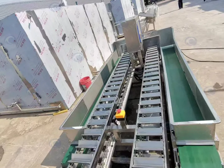 Double-Row Model Corn Top And Tail Cutter