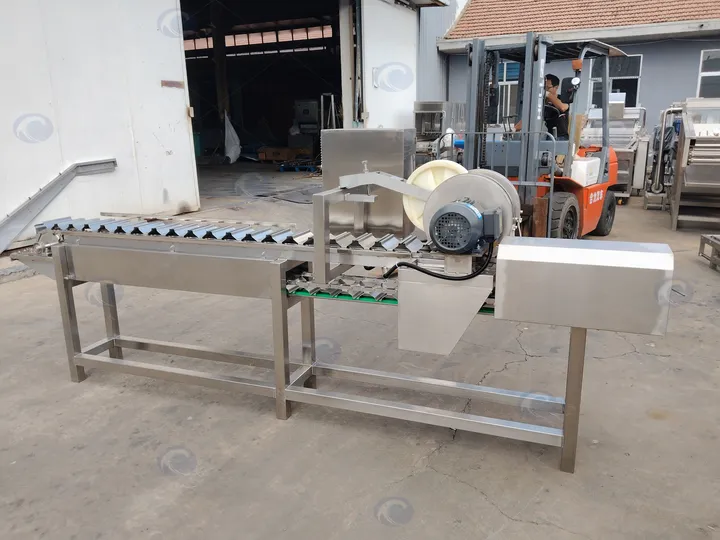 Fresh Sweet Corn Top And Tail Cutting Machine
