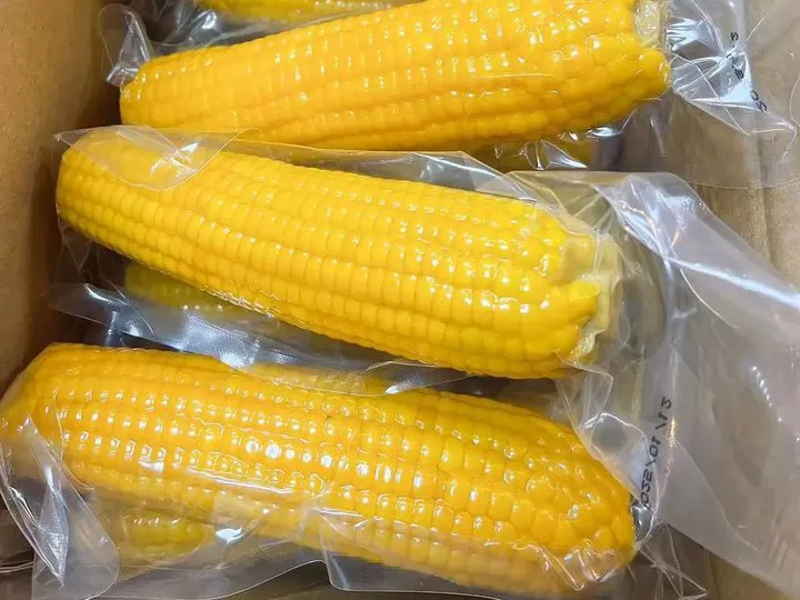 Vacuum Packed Sweet Corn Cob